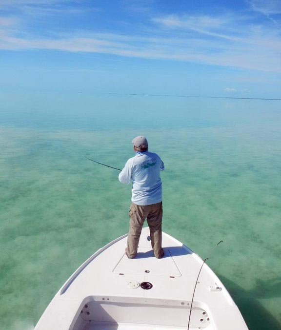 two people snorkeling off charter boat